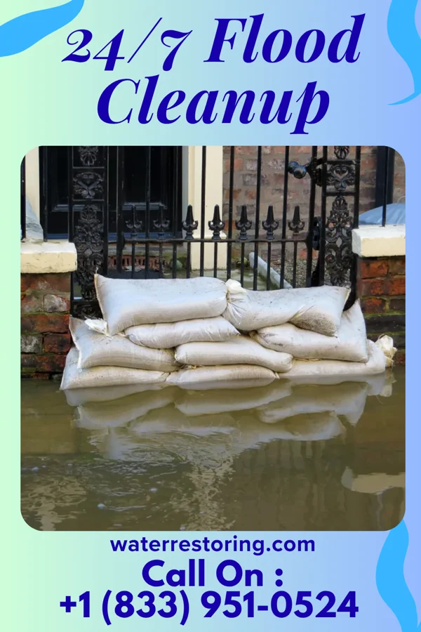 24/7 Flood Cleanup in Merrillville, IN