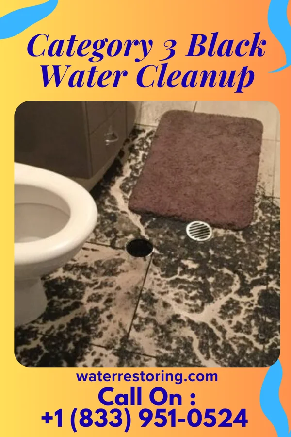 Category 3 Black Water Cleanup in Merrillville, IN