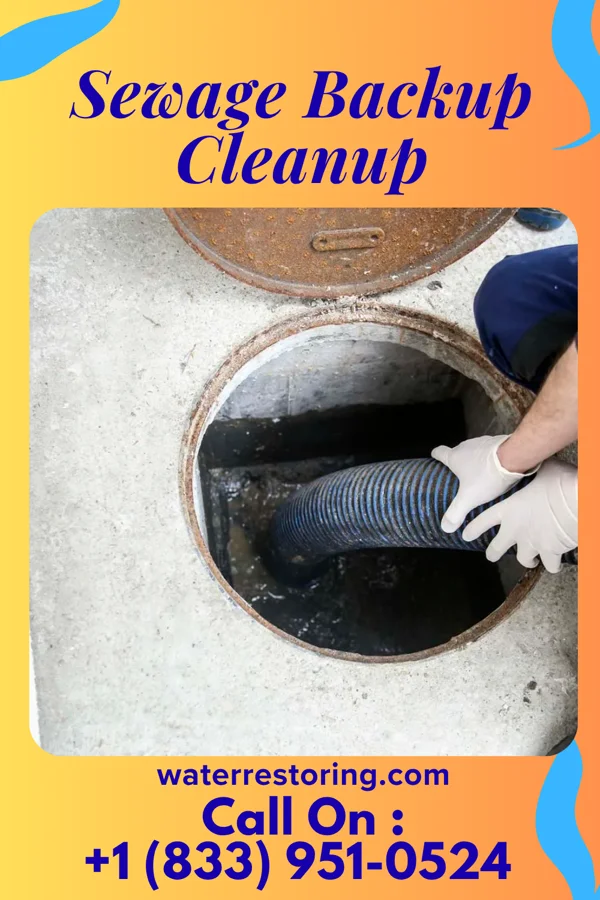 Sewage Backup Cleanup in Merrillville, IN