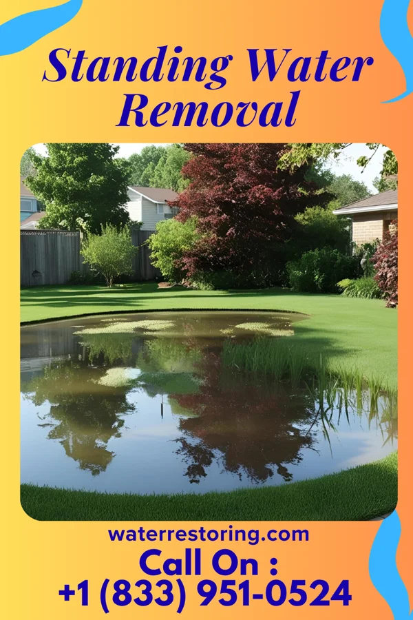 Standing Water Removal in Merrillville, IN